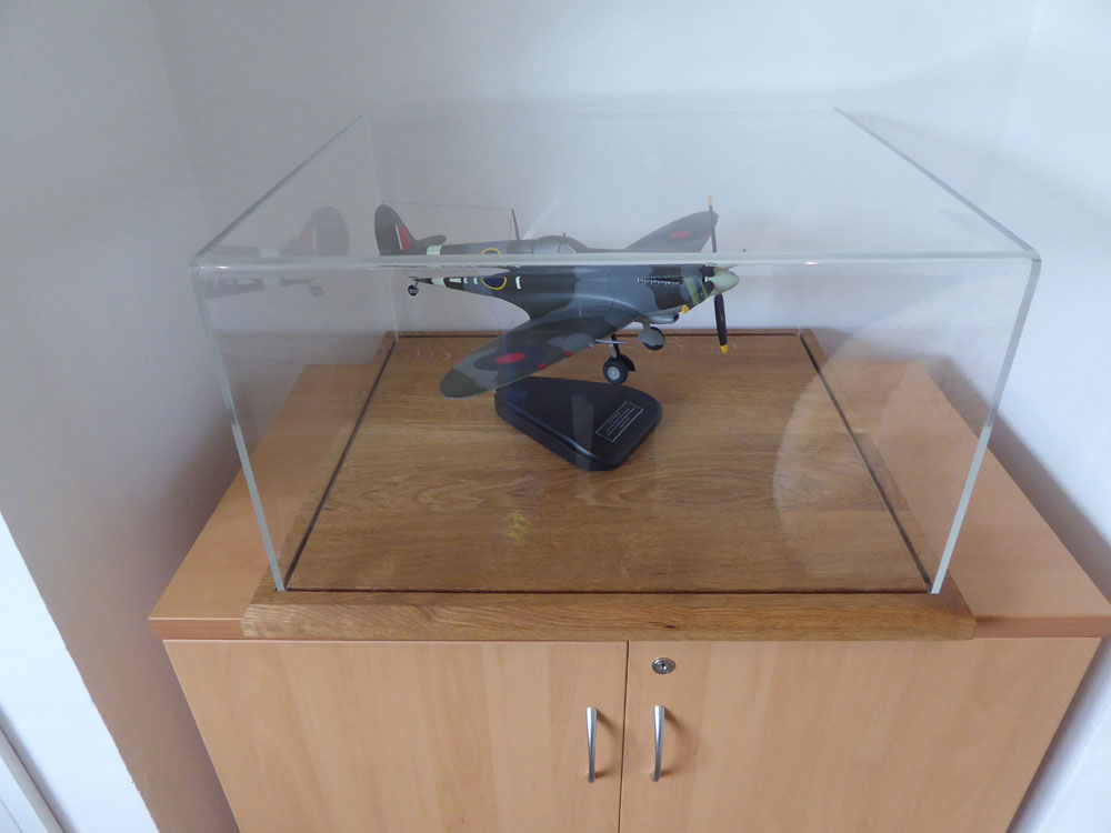 Model Display Case