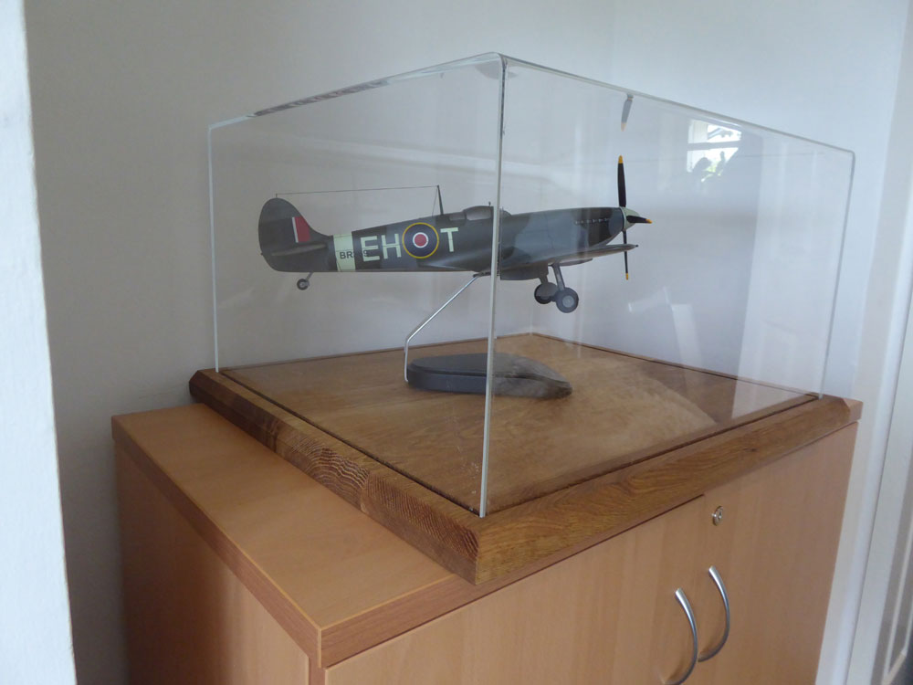 Model Display Case