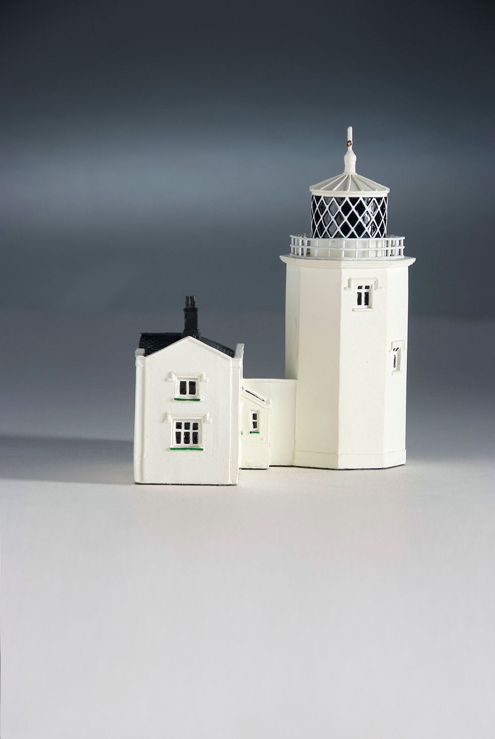 Littledart Lighthouse Lizard England