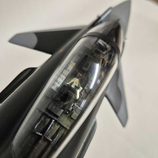 Eurofighter Typhoon "Moggie"